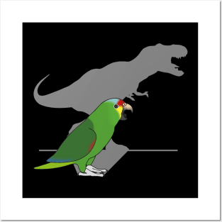 t-rex red lored amazon parrot Posters and Art